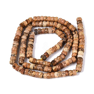 Natural Picture Jasper Beads Strands G-Q606-46A-14-1