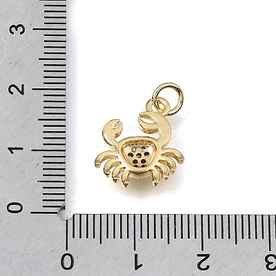 Brass Micro Pave Clear Cubic Zirconia Charms KK-E802-05G-1