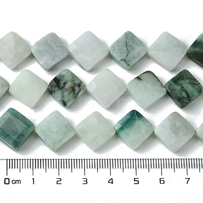 Natural Myanmar Jadeite Beads Strands G-A092-D01-03-1