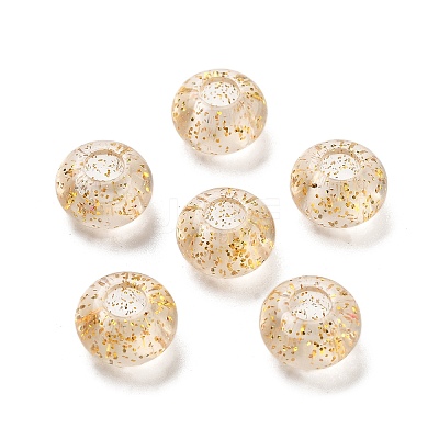 Transparent Acrylic European Beads TACR-P009-A01-03-1