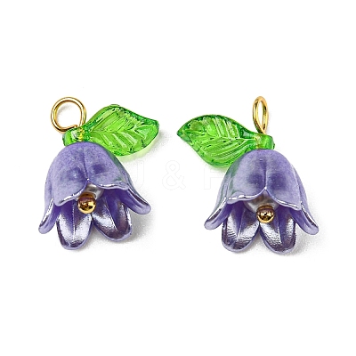 Acrylic Pendants LS-OACR-D012-01B-1