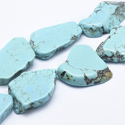 Natural Magnesite Beads Strands G-K244-08-1