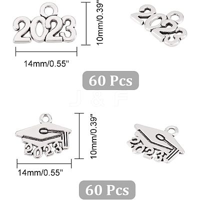 120Pcs 2 Style Tibetan Style Alloy Charms FIND-CA0006-06-1