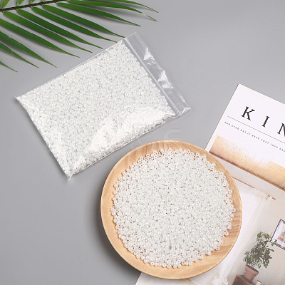 (Repacking Service Available) Glass Seed Beads SEED-C020-4mm-141-1