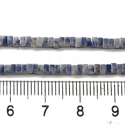 Natural Blue Spot Jasper Beads Strands G-N342-82-1