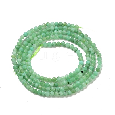 Natural Chrysoprase Beads Strands G-B088-C19-02-1