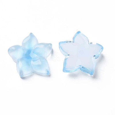Transparent Epoxy Resin Cabochons CRES-S365-23B-1