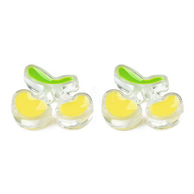 Transparent Acrylic Enamel Beads LS-TACR-N012-006G-1
