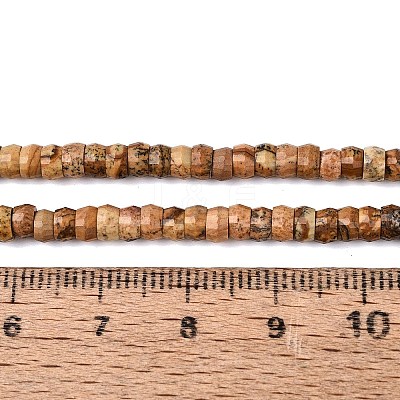 Natural Picture Jasper Beads Strands LS-G-Q606-46A-14-1