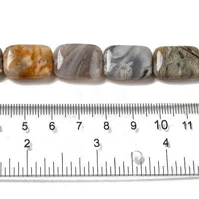 Natural Bamboo Leaf Agate Beads Strands G-NH0014-E01-01-1
