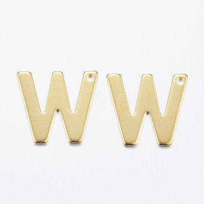 304 Stainless Steel Charms LS-X-STAS-P141-W-1