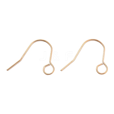 304 Stainless Steel Earring Hooks STAS-B047-31RG-1
