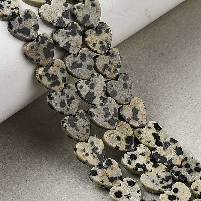 Natural Dalmatian Jasper Beads Strands X-G-M403-A31-03-1