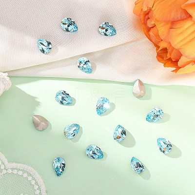Preciosa® MAXIMA Crystal Fancy Stones X-PRC-FE14-60010-1