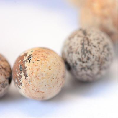Frosted Natural Picture Jasper Round Bead Strands G-E334-10mm-26-1
