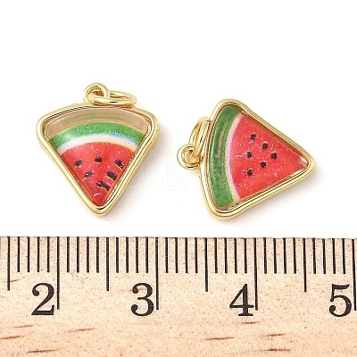 Brass Resin Charms KK-C110-24H-G-1