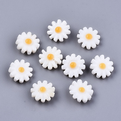 Natural Freshwater Shell Beads SHEL-S266-14A-01-1