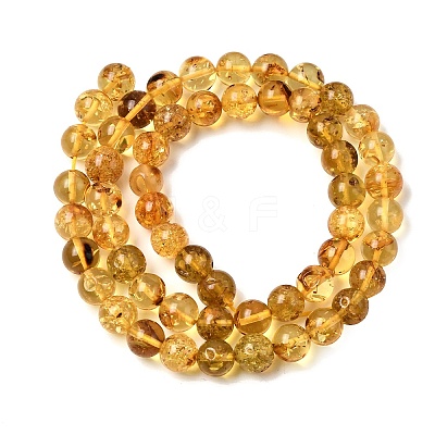 Natural Amber Beads Strands G-K376-H03-02-1