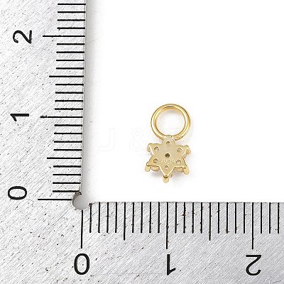 925 Sterling Silver Micro Pave Clear Cubic Zirconia Charms STER-G048-01G-04-1