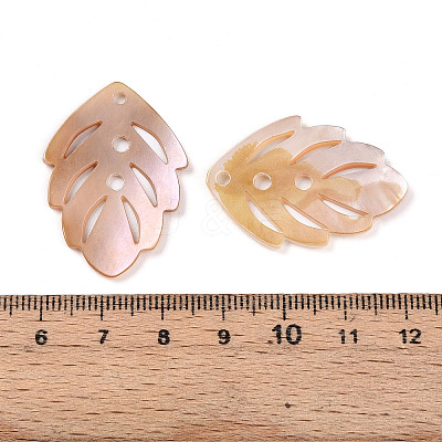 Natural Freshwater Shell Carved Pendants SHEL-N036-17-1