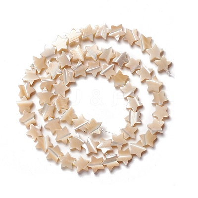 Natural Trochid Shell/Trochus Shell Beads SSHEL-O001-25B-01-1