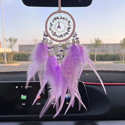 Natural Gemstone Chips Woven Net/Web with Feather Hanging Ornaments PW23112254571-1