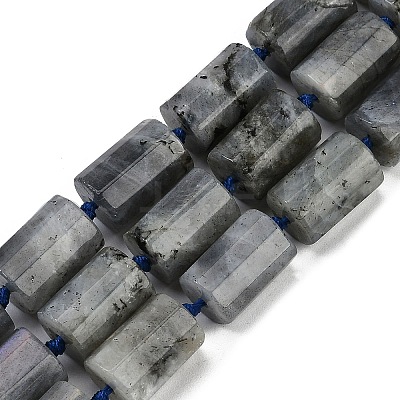 Natural Labradorite Beads Strands G-G162-D13-02-1