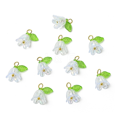 Transparent Acrylic Pendants PALLOY-YW00081-01-1