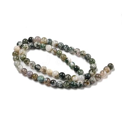 Natural Tree Agate Round Gemstone Beads Strands G-R255-6mm-1