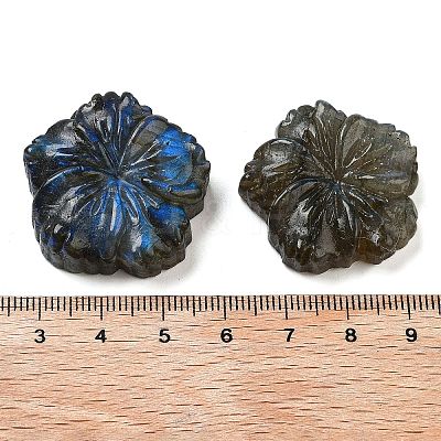 Natural Labradorite Carved Cabochons G-C152-06-1