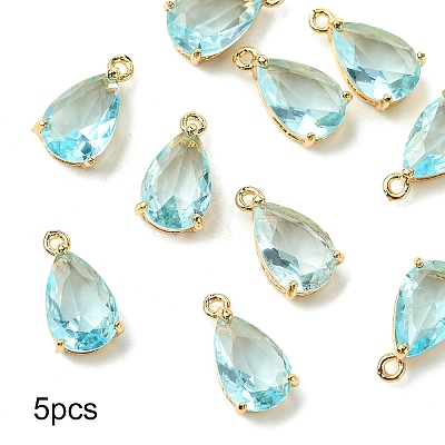 5Pcs Transparent Glass Charms GLAA-YW0004-41E-1