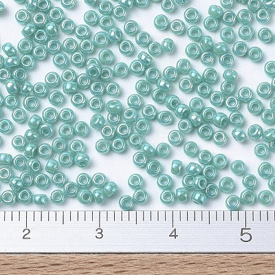 MIYUKI Round Rocailles Beads X-SEED-G007-RR0481-1