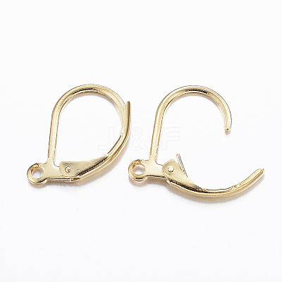 316L Surgical Stainless Steel Leverback Earring Findings X-STAS-E194-03G-1