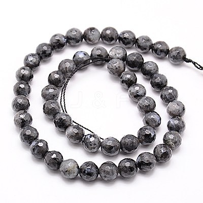 Natural Larvikite Beads Strands G-G736-01-10mm-1