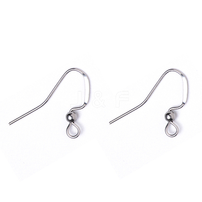 Tarnish Resistant 304 Stainless Steel French Earring Hooks STAS-Q229-02-1