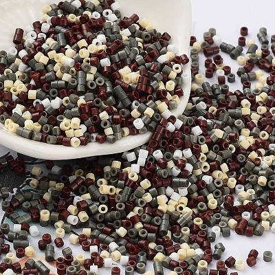 Baking Paint Glass Seed Beads X-SEED-S042-05B-55-1