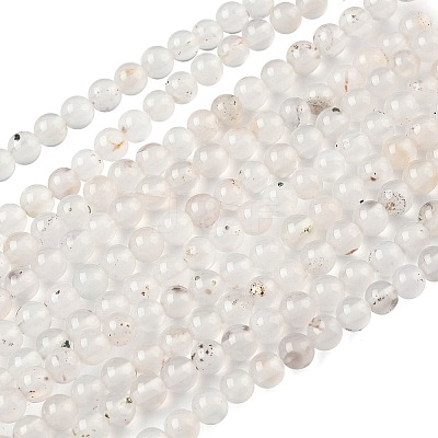 Natural Dendritic Agate Beads Strands G-C011-4mm-01-1