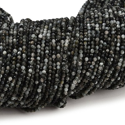 Natural Eagle Eye Stone Beads Strands G-RM250101-E6-1