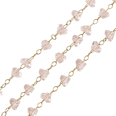 Glass & 304 Stainless Steel Beaded Chains SA-CBAD321-04E-1