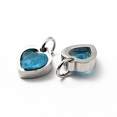 304 Stainless Steel Pendants STAS-D189-06P-08-1