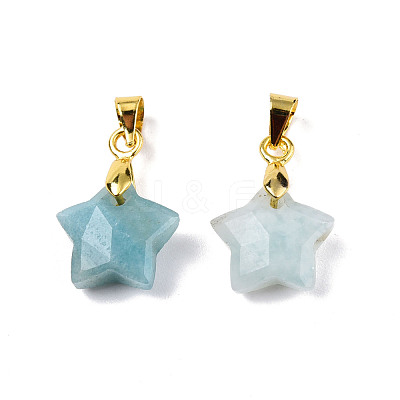 Natural Amazonite Charms G-N326-142-08-1
