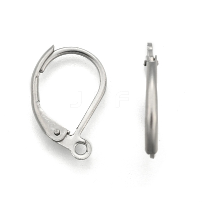 Tarnish Resistant Stainless Steel Color Tone 304 Stainless Steel Leverback Earring Findings X-STAS-E007-3-1