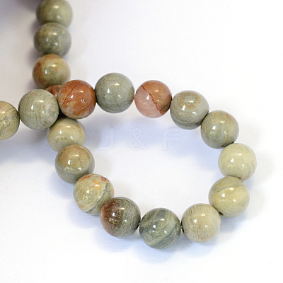 Natural Silver Leaf Jasper Round Bead Strands G-E334-8mm-04-1