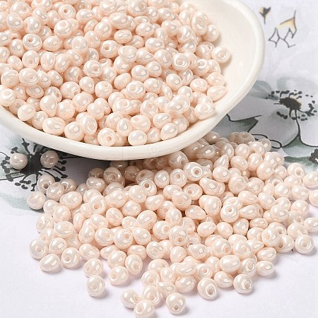 6/0 Glass Seed Beads X1-SEED-M012-01A-09-1