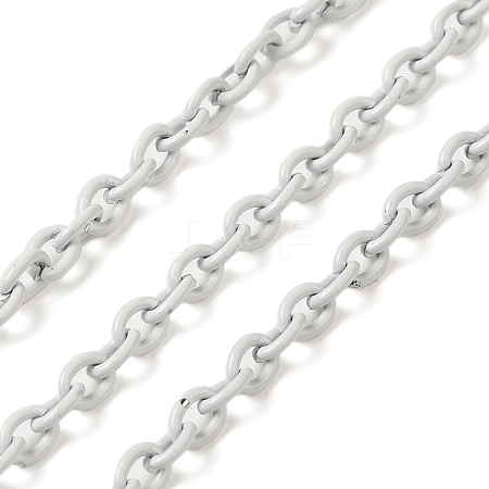 Spray Painted 304 Stainless Steel Cable Chains STAS-B067-06A-01-1