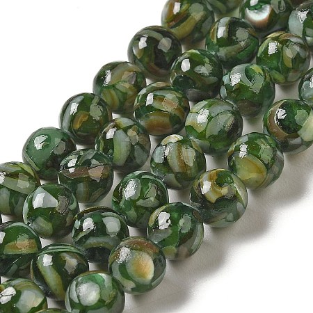 Freshwater Shell Beads Strands BSHE-L039-08B-06-1