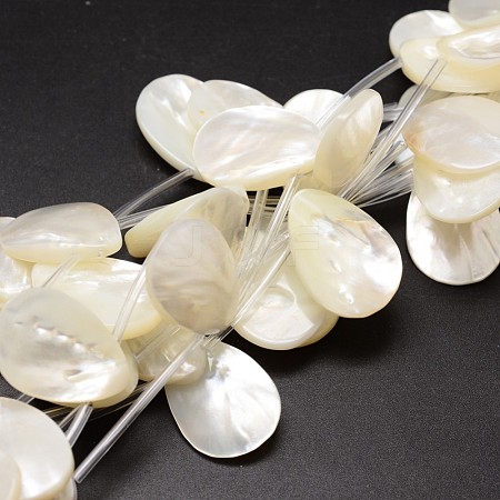 Natural Trochid Shell/Trochus Shell Beads Strands SSHEL-K009-12-1