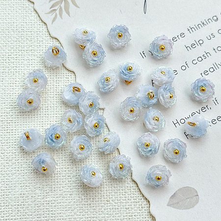 Two Tone Transparent Resin Charms LS-RESI-CJC0023-19B-1