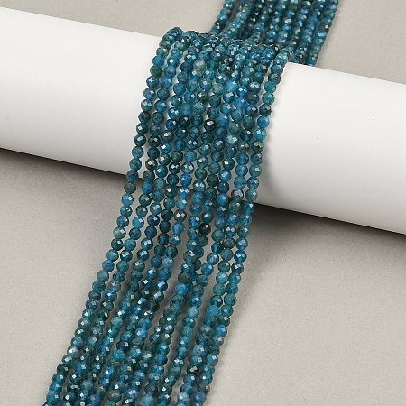 Natural Apatite Beads Strands G-E411-36-3mm-02-1