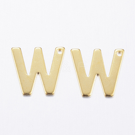 304 Stainless Steel Charms LS-X-STAS-P141-W-1